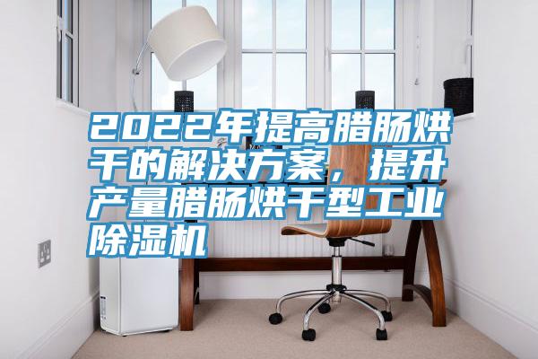 2022年提高臘腸烘干的解決方案,提升產量臘腸烘干型工業(yè)除濕機
