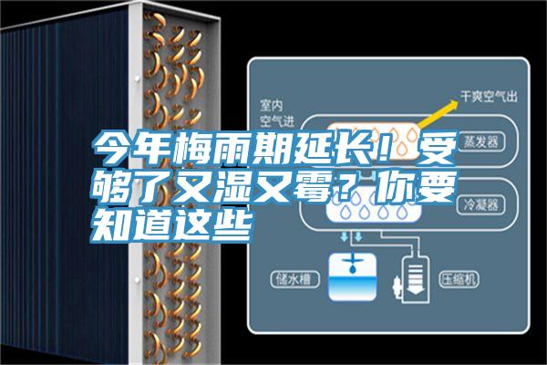 今年梅雨期延長！受夠了又濕又霉？你要知道這些