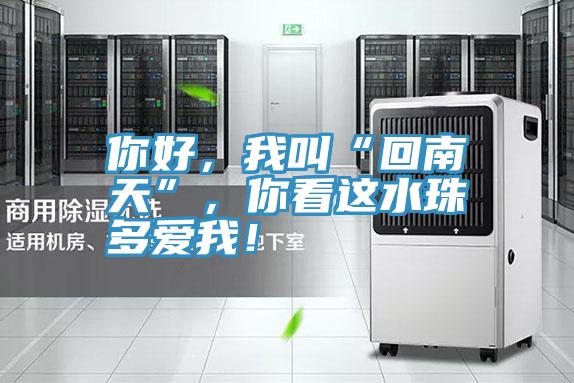 你好,我叫“回南天”,你看這水珠多愛(ài)我!