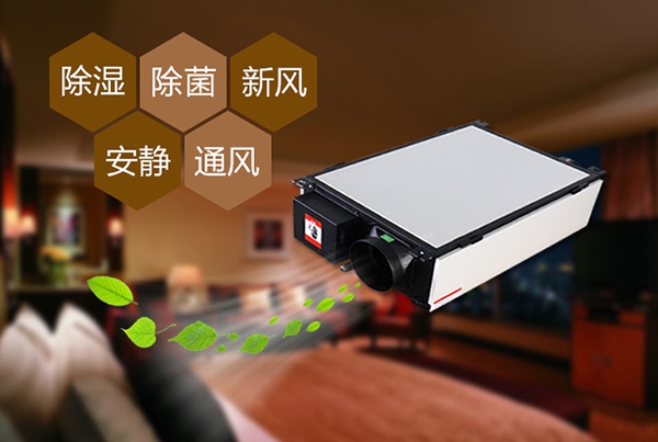 為什么冷庫除濕機會出現結霜的情況？