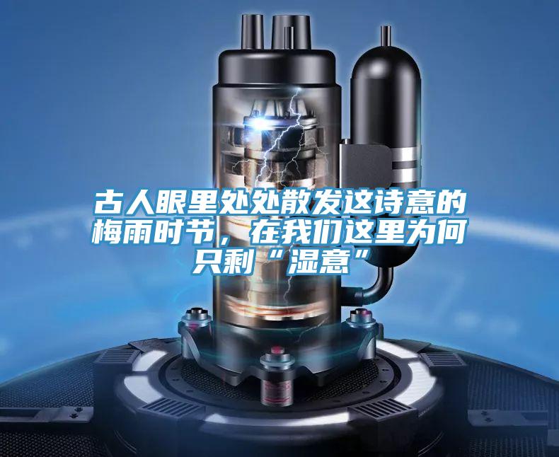 古人眼里處處散發這詩意的梅雨時節,在我們這里為何只剩“濕意”