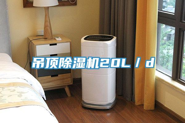 吊頂除濕機(jī)20L/d