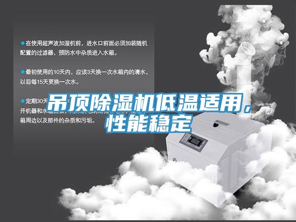 吊頂除濕機(jī)低溫適用,性能穩(wěn)定