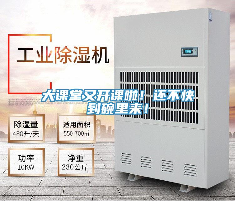 大課堂又開課啦！還不快到碗里來！