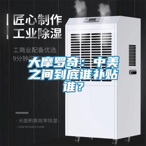 大摩羅奇:中美之間到底誰補貼誰?