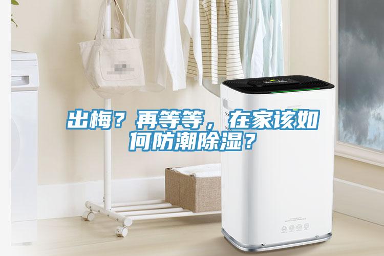 出梅？再等等，在家該如何防潮除濕？