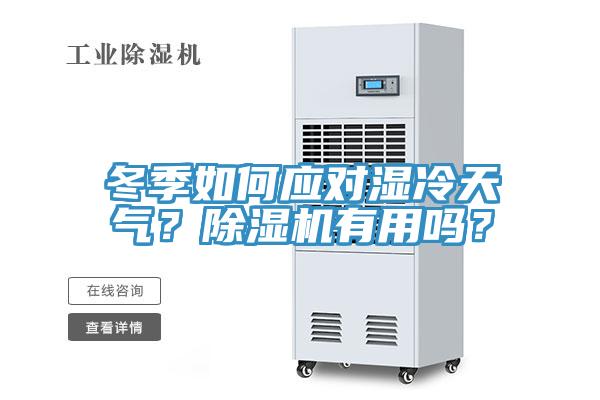 冬季如何應對濕冷天氣？除濕機有用嗎？
