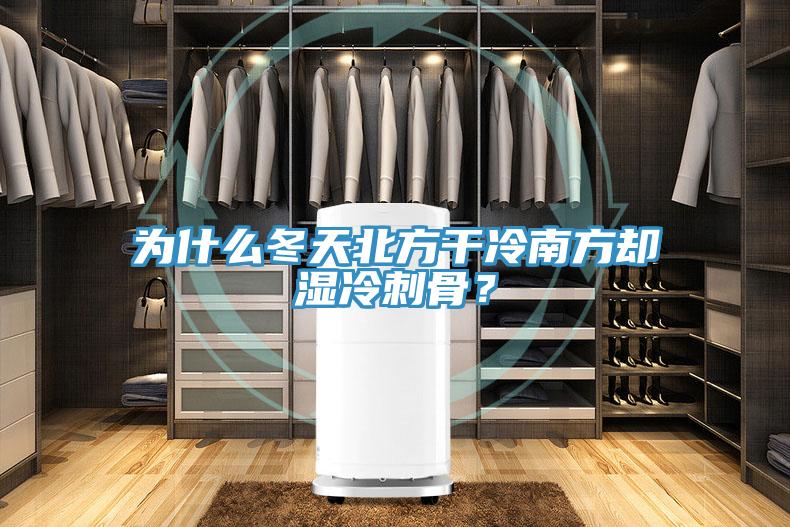 為什么冬天北方干冷南方卻濕冷刺骨？