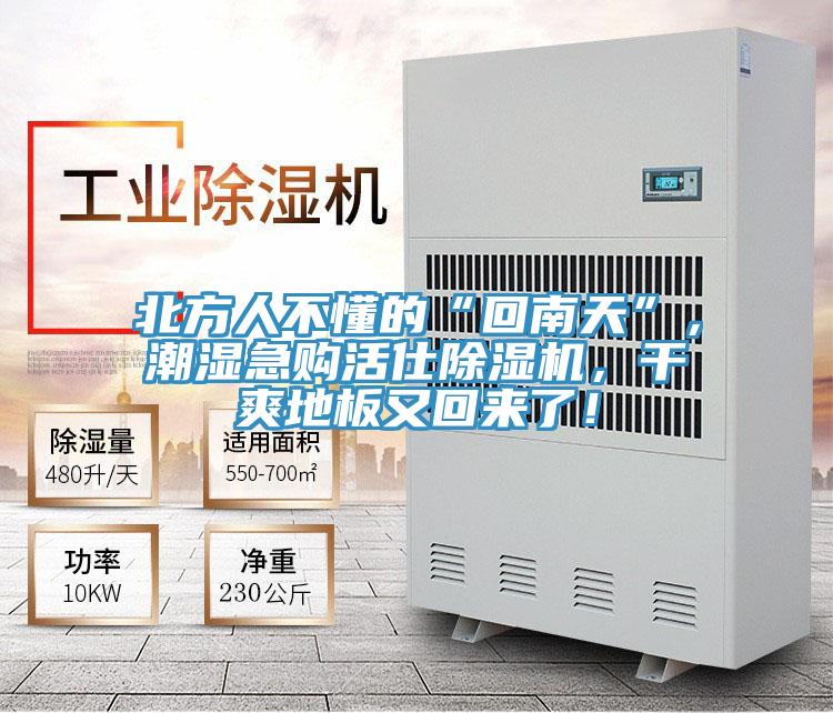 北方人不懂的“回南天”，潮濕急購活仕除濕機，干爽地板又回來了！