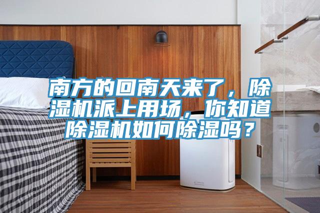 南方的回南天來了,除濕機(jī)派上用場,你知道除濕機(jī)如何除濕嗎?