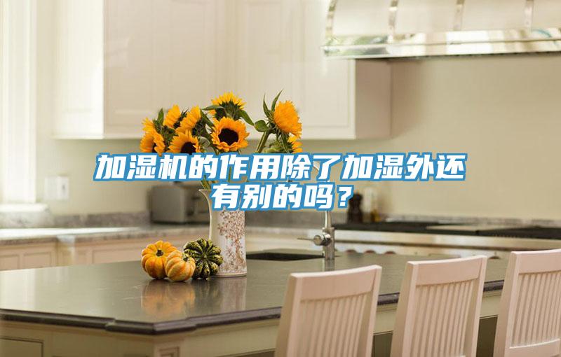 加濕機的作用除了加濕外還有別的嗎?