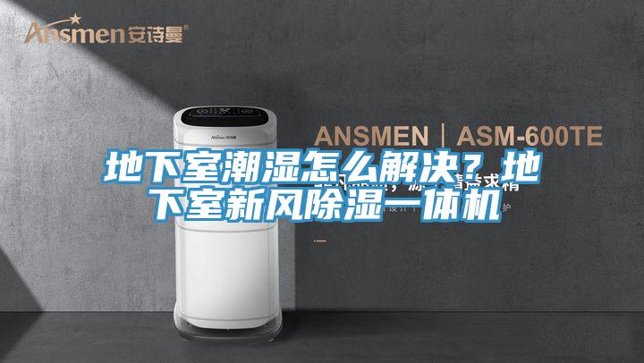 地下室潮濕怎么解決?地下室新風除濕一體機