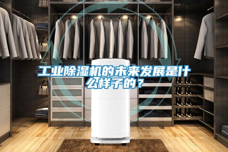 工業(yè)除濕機的未來發(fā)展是什么樣子的?
