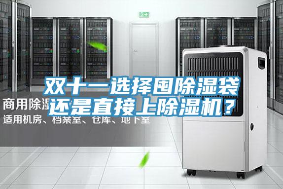 雙十一選擇囤除濕袋還是直接上除濕機？