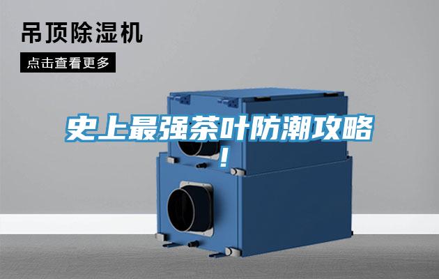 史上最強茶葉防潮攻略!