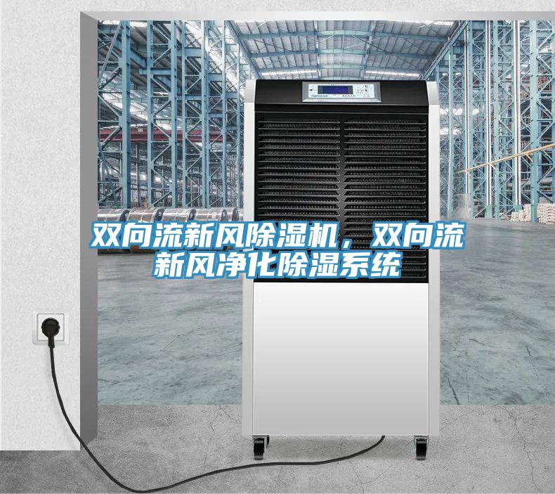 雙向流新風除濕機，雙向流新風凈化除濕系統