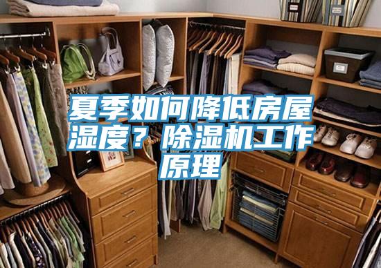 夏季如何降低房屋濕度?除濕機(jī)工作原理