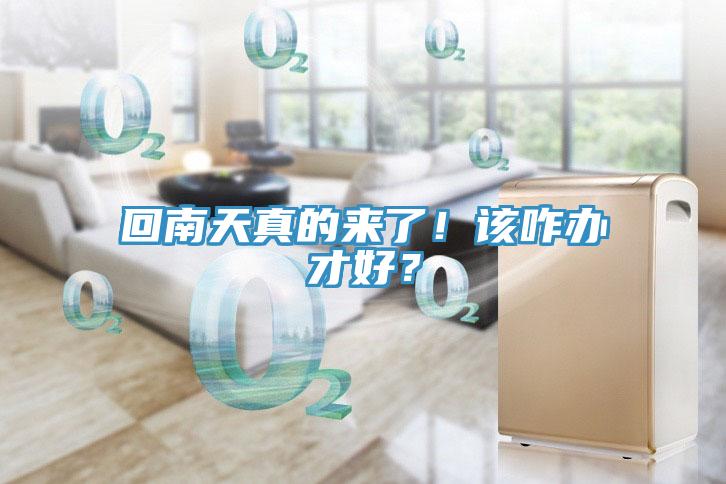 回南天真的來了！該咋辦才好？