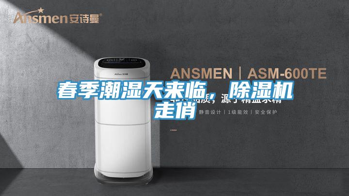 春季潮濕天來(lái)臨,除濕機(jī)走俏