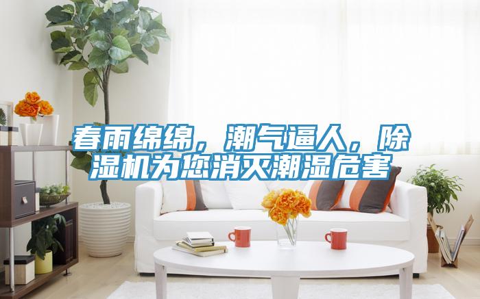 春雨綿綿，潮氣逼人，除濕機為您消滅潮濕危害