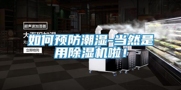 如何預防潮濕-當然是用除濕機啦！