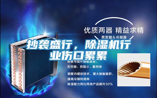 抄襲盛行,除濕機(jī)行業(yè)傷口累累