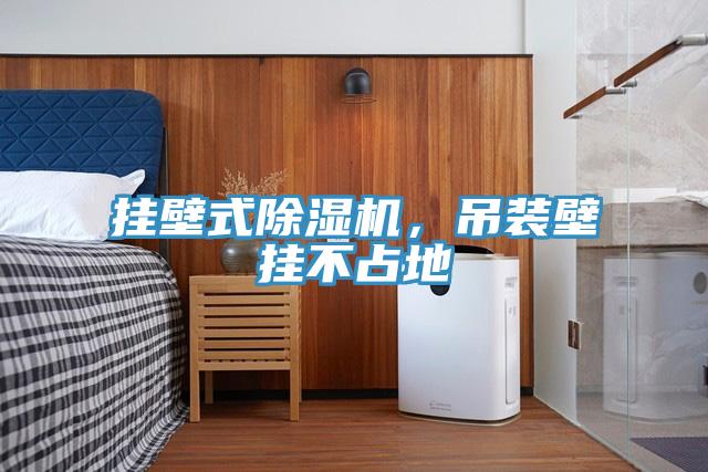 掛壁式除濕機,吊裝壁掛不占地