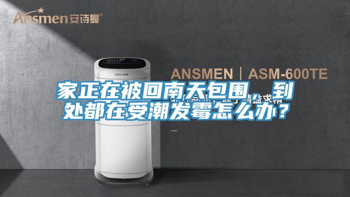 家正在被回南天包圍,到處都在受潮發霉怎么辦?