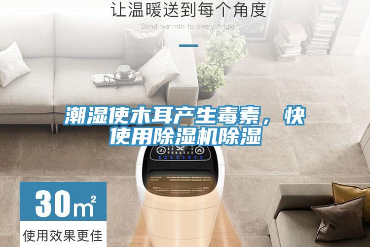 潮濕使木耳產生毒素,快使用除濕機除濕