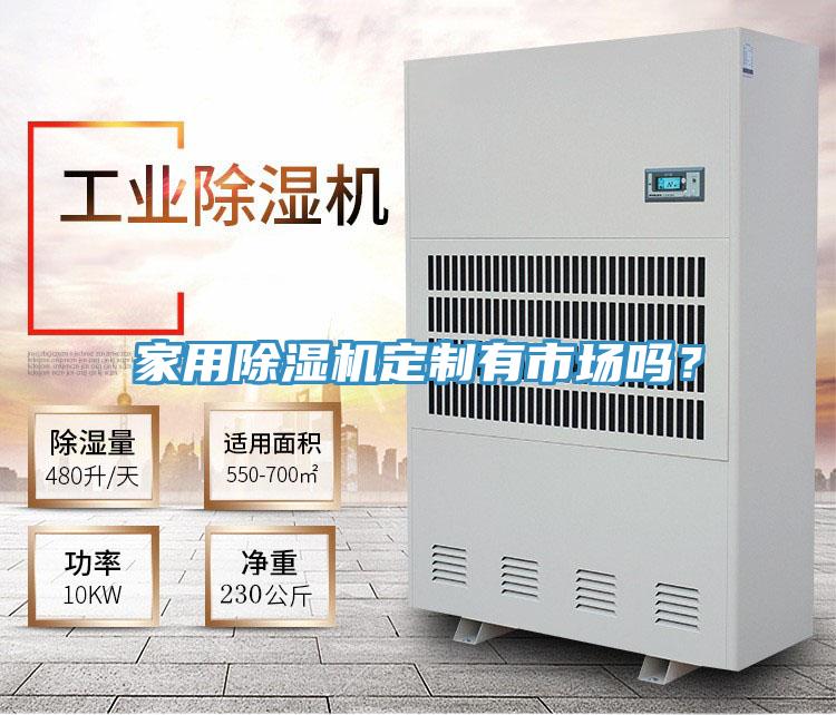 家用除濕機(jī)定制有市場嗎?