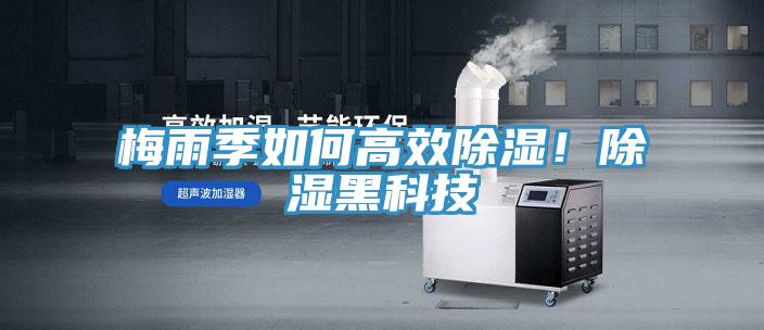 梅雨季如何高效除濕！除濕黑科技