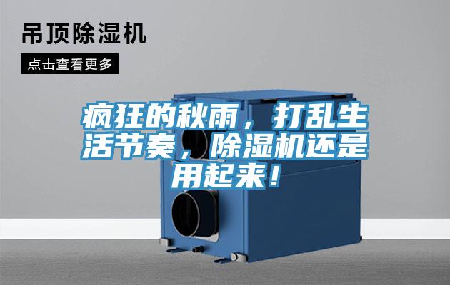 瘋狂的秋雨，打亂生活節奏，除濕機還是用起來！