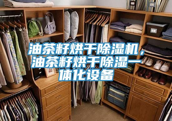 油茶籽烘干除濕機，油茶籽烘干除濕一體化設備