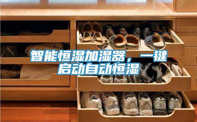 智能恒濕加濕器,一鍵啟動自動恒濕
