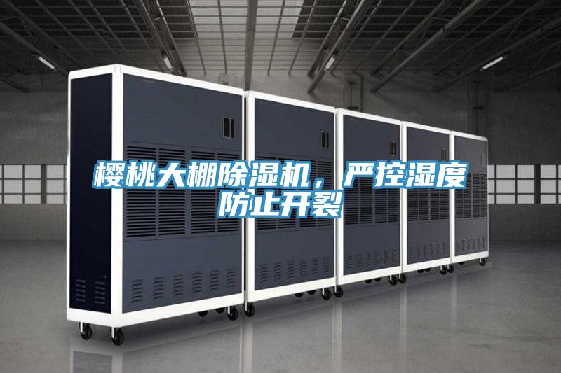 櫻桃大棚除濕機(jī)，嚴(yán)控濕度防止開裂