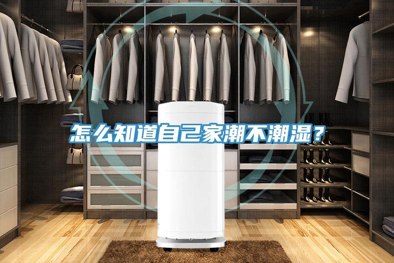 怎么知道自己家潮不潮濕？