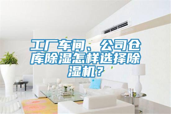 工廠車(chē)間、公司倉(cāng)庫(kù)除濕怎樣選擇除濕機(jī)？