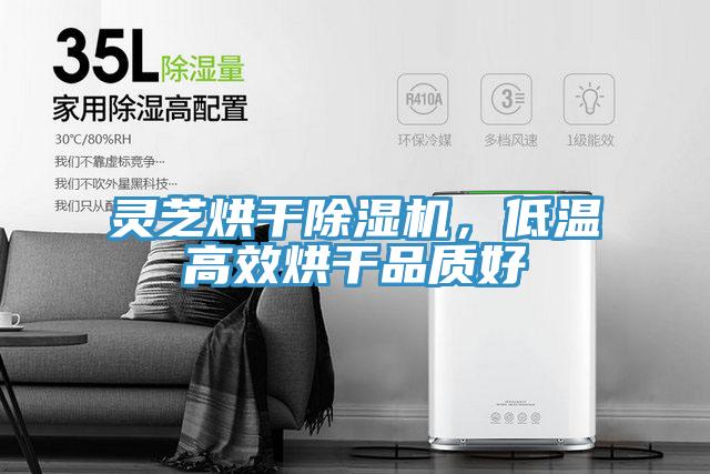 靈芝烘干除濕機，低溫高效烘干品質好