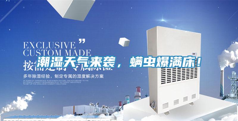 潮濕天氣來襲，螨蟲爆滿床！