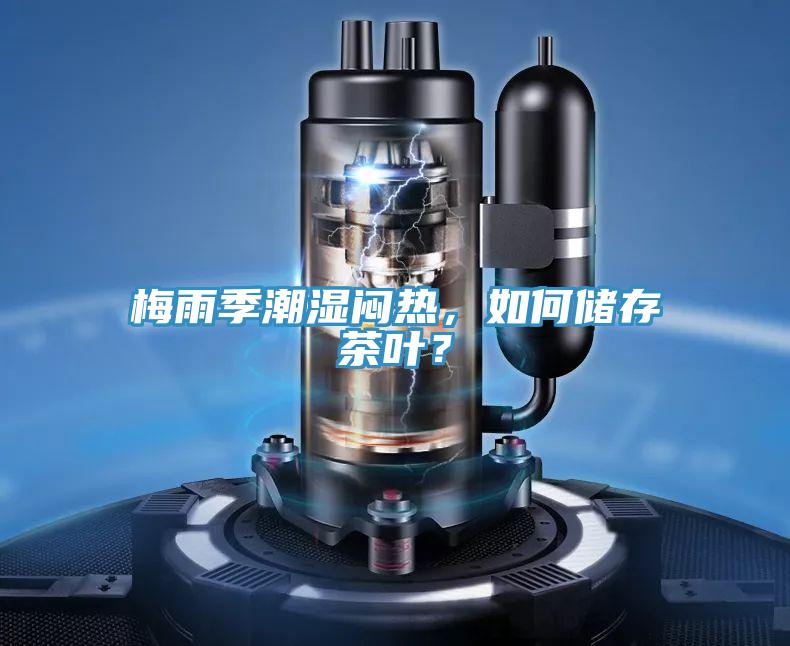 梅雨季潮濕悶熱，如何儲存茶葉？