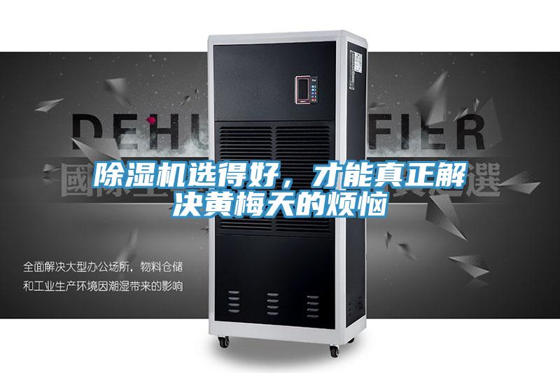 除濕機選得好,才能真正解決黃梅天的煩惱