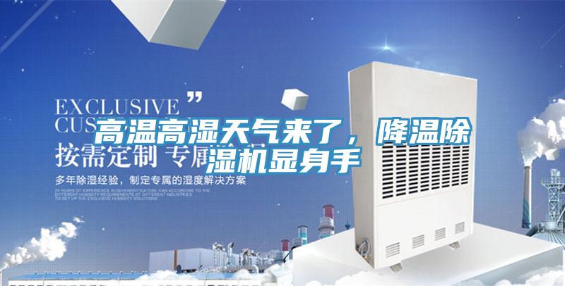 高溫高濕天氣來了,降溫除濕機顯身手