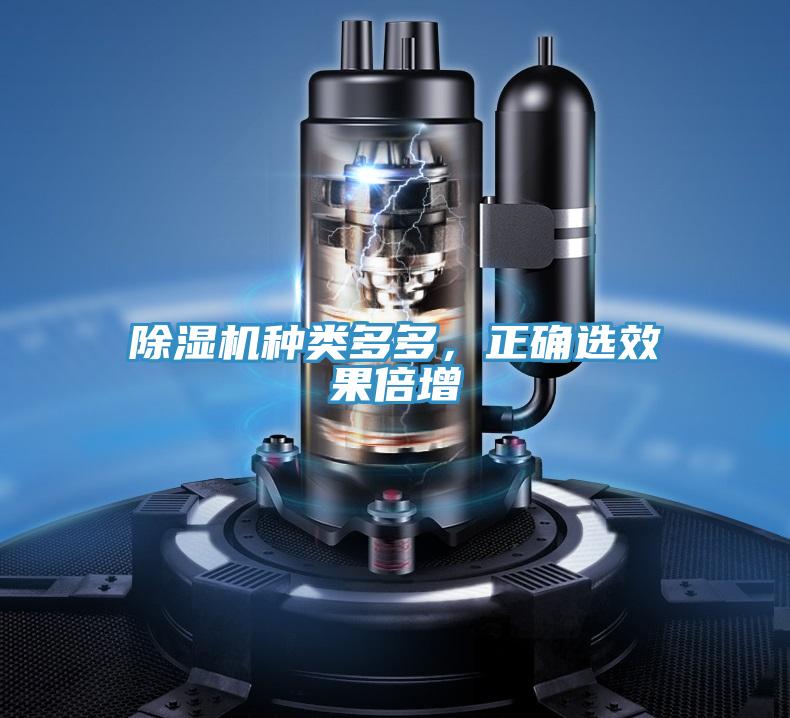 除濕機種類多多,正確選效果倍增