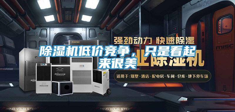 除濕機(jī)低價(jià)競爭,只是看起來很美