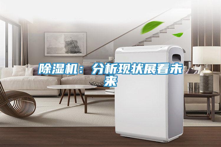 除濕機:分析現(xiàn)狀展看未來