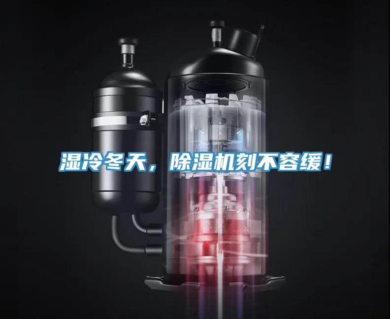 濕冷冬天，除濕機刻不容緩！