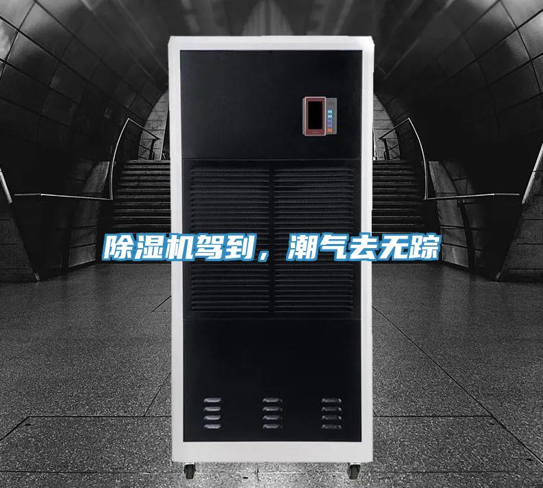 除濕機駕到，潮氣去無蹤