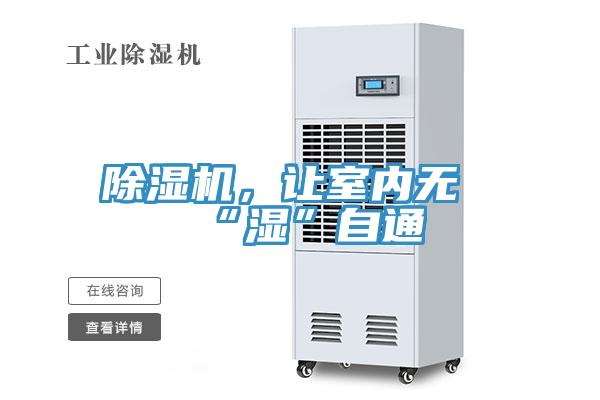除濕機,讓室內(nèi)無“濕”自通