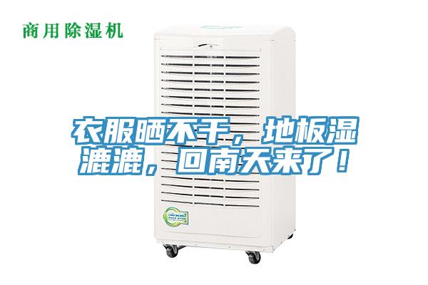 衣服曬不干，地板濕漉漉，回南天來了！