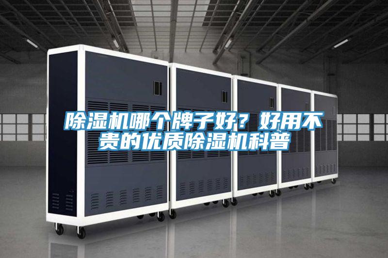 除濕機哪個牌子好？好用不貴的優質除濕機科普